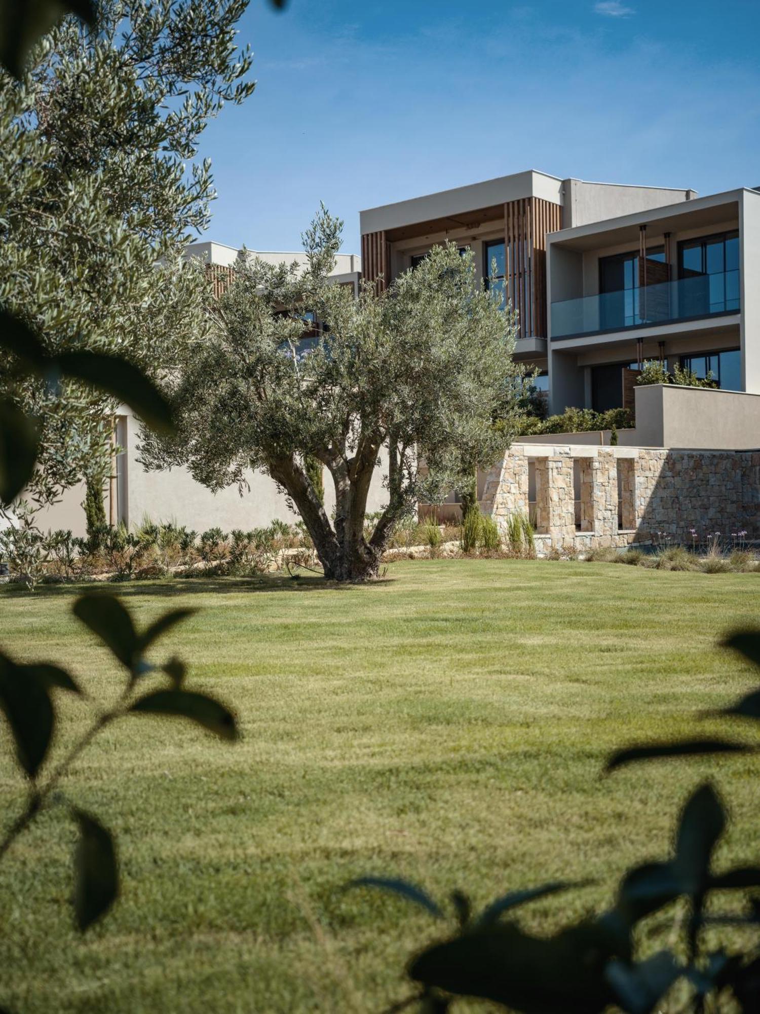 Zoetry Halkidiki Resort & Spa - New Opening 尼亚·蒙达尼亚 外观 照片